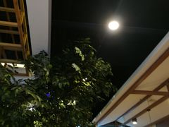 -钟记家菜(红专南路店)