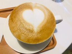 -树咖啡tree coffee