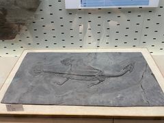 -浙江自然博物院(杭州馆)