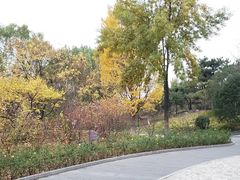 -丰台花园
