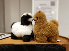 -DK45丹麦家居生活馆·依诺维绅(798店)