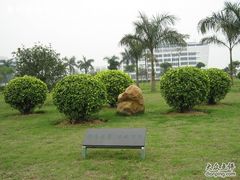 -顺德职业技术大学