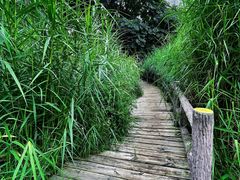 -成都市活水公园
