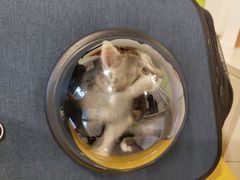 -守诺宠物医院·眼科· 特色牙科·异宠专科(虹口店)