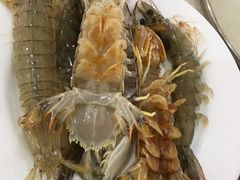 -春华海鲜城(广场西苑店)