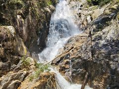 -九龙江国家森林公园