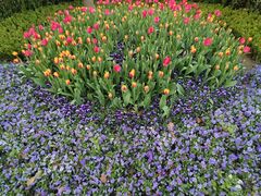 -TOPVTG奢侈品回收站(陕西南路店)