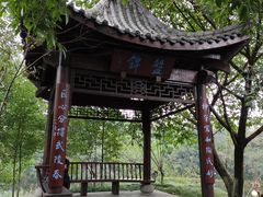 -重庆彩云湖湿地公园