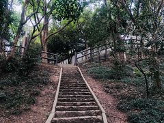 -上海佘山国家森林公园天马山园