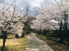 -金泽21世纪美术馆