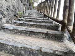 -南宁花花大世界景区