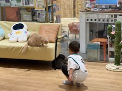 -1013 PET SHOP精品宠物商店(丁香店)