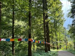 -东天目山风景区