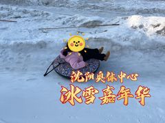 -沈阳奥体冰雪嘉年华