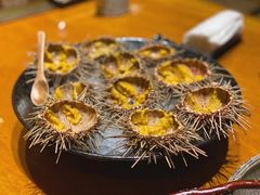 -月龍吟(朝龙汇店)