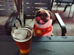 -Ambra Haus琥珀屋精酿餐厅(宝山店)