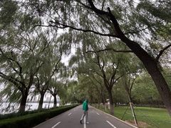 -长白岛森林公园