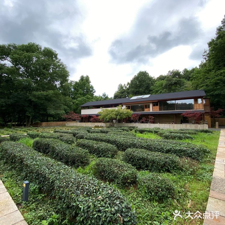 杭州旅游 | 青竺茶食 