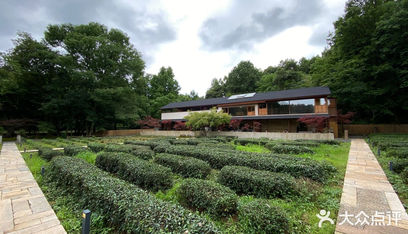 杭州旅游 | 青竺茶食 