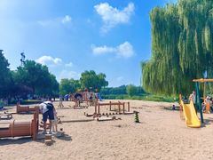 -大兴滨河森林公园