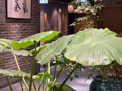 -青藤茶馆(南山路店)