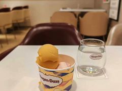 -哈根达斯(深圳海岸城店)