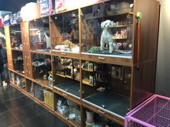 -Goku PET SHOP宠物视觉生活馆(双井店)