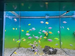 -海合安青岛极地海洋公园