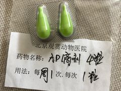 -北京观赏动物医院·24小时大型综合·猫专科·异宠专科
