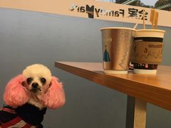 -全家便利店(沪青平公路四店)