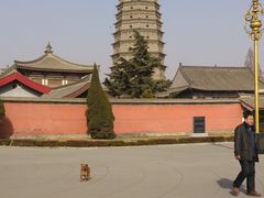 -法门文化景区