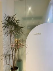 点击看大图 -杨益美学·野生眉半永久纹眉发际线