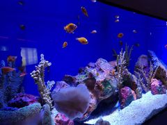 -上海海洋水族馆