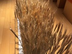 -西村日本料理(香格里拉饭店)