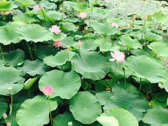 -南戴河国际娱乐中心