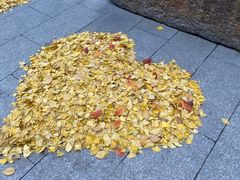 -龙华寺