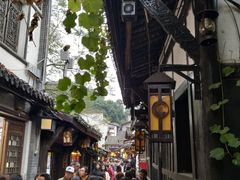 -胖娃古镇鸡杂(磁器口总店)