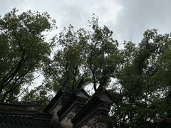 -天一阁博物院