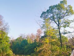 -西溪国家湿地公园