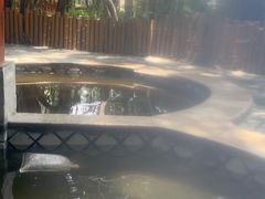 -碧水湾温泉