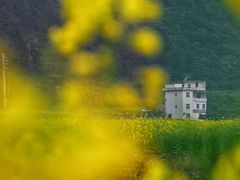 -新安江山水画廊风景区