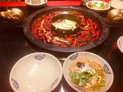 -渝大狮毛肚老火锅(普陀店)