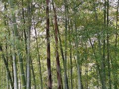 -紫金山索道-售票处
