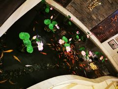 -千岛湖鱼味馆(十字街总店)