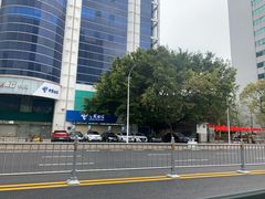 -广场正宗原汁薏米店