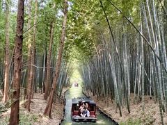 -同里国家湿地公园