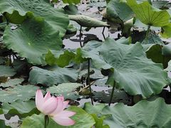 -木守西溪溪隐餐厅