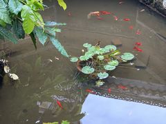 -自贡市盐业历史博物馆