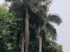 -广州市白云山风景名胜区
