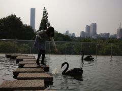 -行者书屋大堂吧 ·下午茶(南京圣和府邸酒店)